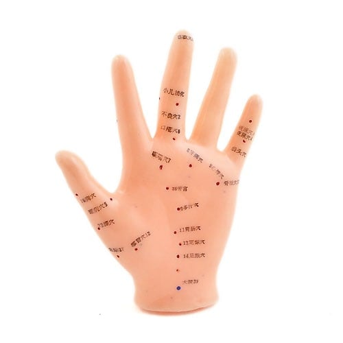 Hand Acupuncture Model   Made From Soft Pvc
