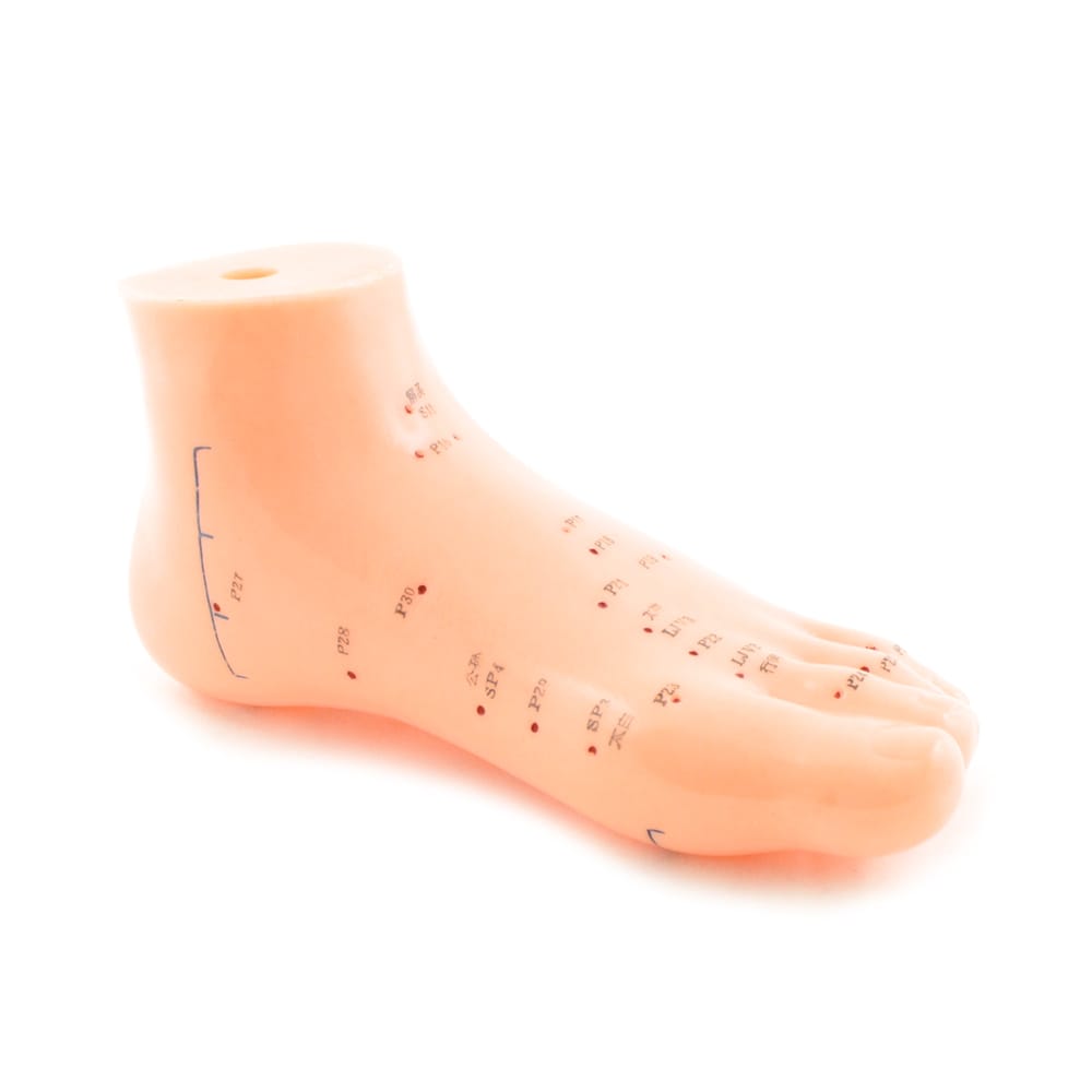  Foot Acupuncture Model   Made From Soft Pvc