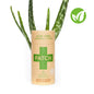 Patch Bamboo Plasters With Aloe Vera For Burns   Blisters And Scrapes